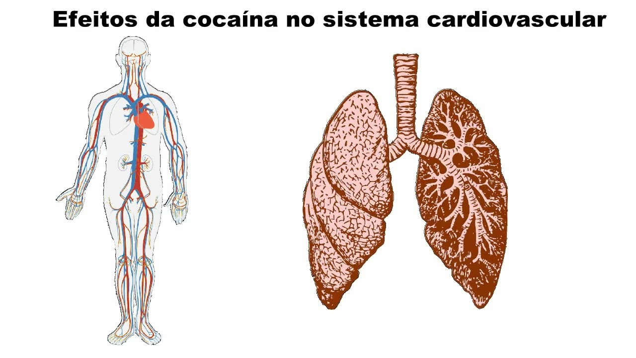 Vaping e seus efeitos no sistema reprodutivo